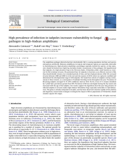 High prevalence of infection in tadpoles increases vulnerability to