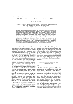 Cell Differentiation and Its Control in the Vertebrate Epidermis