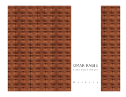 Rabie`s entire report here.