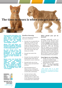 The time to desex is when you get your pet