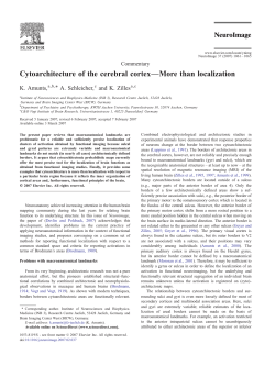 Cytoarchitecture of the cerebral cortex&mdash;More than localization