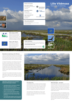 Read the project folder (UK)