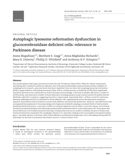 Autophagic lysosome reformation dysfunction in glucocerebrosidase