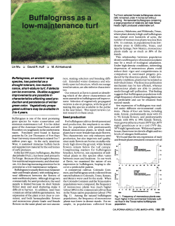 Buffalograss as a low-maintenance turf