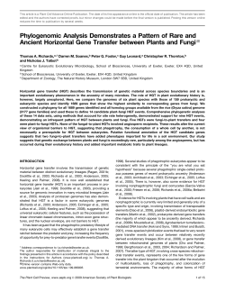 Phylogenomic Analysis Demonstrates a Pattern of