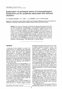 Examination of archetypal strains of enteropathogenic Escherichia