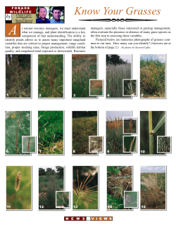 Know Your Grasses - Texas Natural Resources Server