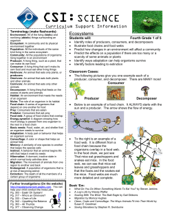 Unit 1 CSI Letter - Home of the Super Stingrays!!!