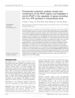 Comparative proteomic analysis reveals new components of the
