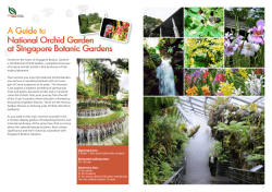 National Orchid Garden Trail Guide