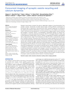 Concurrent imaging of synaptic vesicle recycling