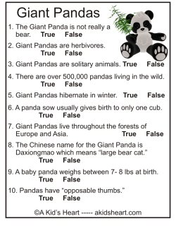 Printable Panda Quiz