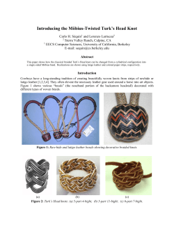 Introducing the M&ouml;bius-Twisted Turk`s Head Knot