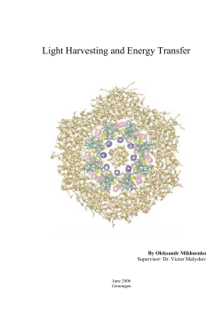Light Harvesting and Energy Transfer