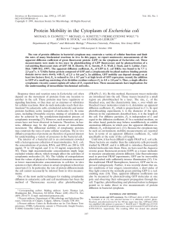 Protein Mobility in the Cytoplasm of Escherichia coli