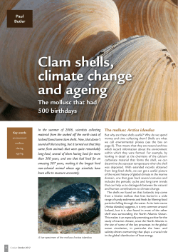 Clam shells, climate change and ageing