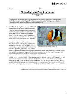 CommonLit | Clownfish and Sea Anemone