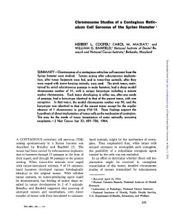 Chromosome Studies of a Contagious Retic