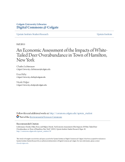 An Economic Assessment of the Impacts of White