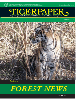 Tigerpaper Vol XXXIV No 4 October-December 2007