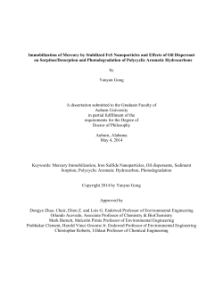 Immobilization of Mercury by Stabilized FeS Nanoparticles and