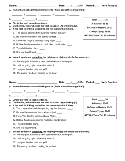 Grammar Verbs Practice Quiz