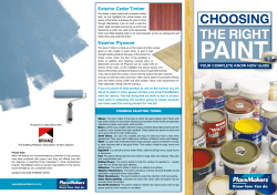 the right paint