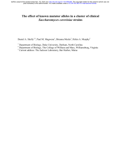 The effect of known mutator alleles in a cluster of clinical