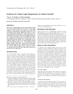Evidence for Yellow Light Suppression of Lettuce Growth