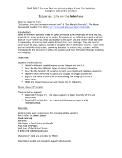 Estuaries: Life on the Interface