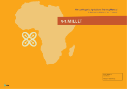 High resolution - Organic Africa