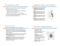 Overview of articulatory phonetics