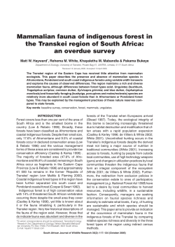 Mammalian fauna of indigenous forest in the Transkei region of