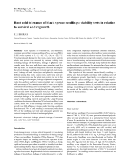 Root cold tolerance of black spruce seedlings: viability tests