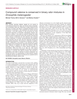 Compound valence is conserved in binary odor mixtures in