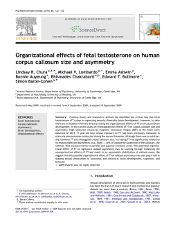 Organizational effects of fetal testosterone on human corpus