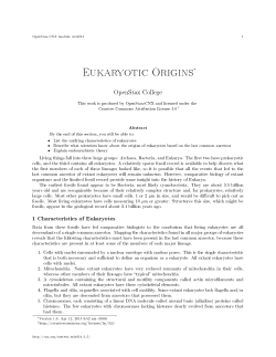 Eukaryotic Origins