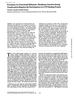 Formation of a Functional Ribosome