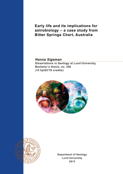 Early life and its implications for astrobiology &ndash; a case study from