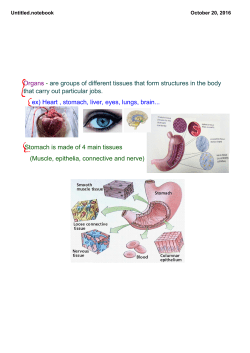 Organs are groups of different tissues that form structures in the