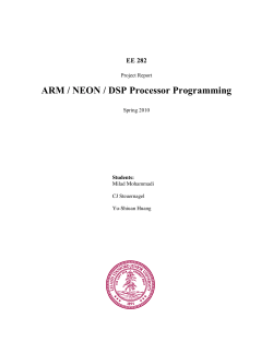 ARM / NEON / DSP Processor Programming