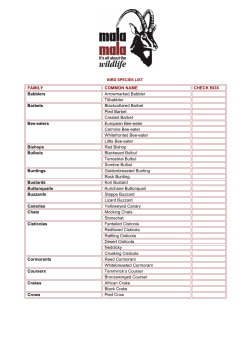 FAMILY COMMON NAME CHECK BOX Babblers Arrowmarked