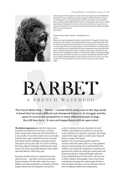 The French Water Dog &ndash; Barbet &ndash; a breed that is rarely seen in the