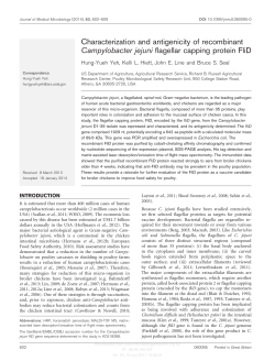 Characterization and antigenicity of recombinant Campylobacter