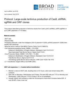 Protocol: Large-scale lentivirus production of Cas9