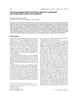 Phenomenological Model and Phase Behavior of Saturated and