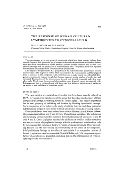 the response of human cultured lymphocytes to cytochalasin b