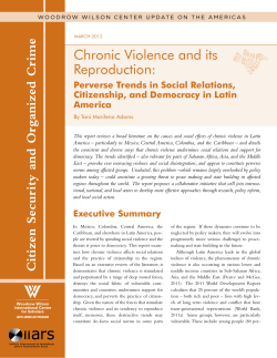 Chronic Violence and its Reproduction