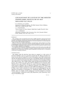 localization of calcium in the smooth endoplasmic reticulum of rat