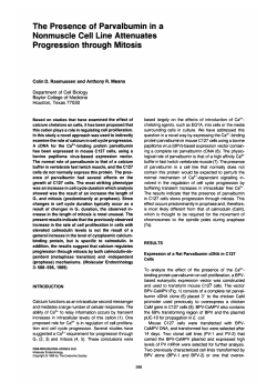 The Presence of Parvalbumin in a Nonmuscle Cell Line Attenuates